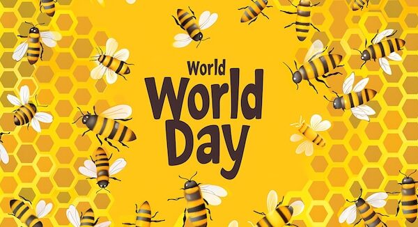 World Bee Day Mon 20th, May 2024