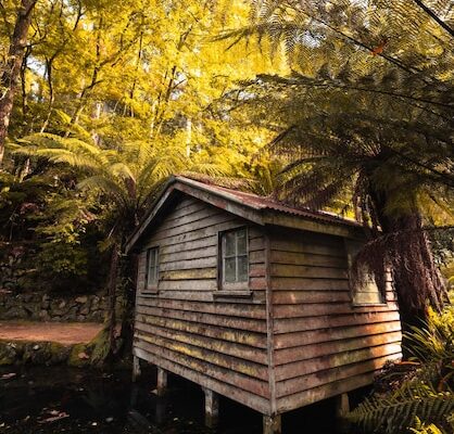 Log Cabin Day Sun 30th, Jun 2024