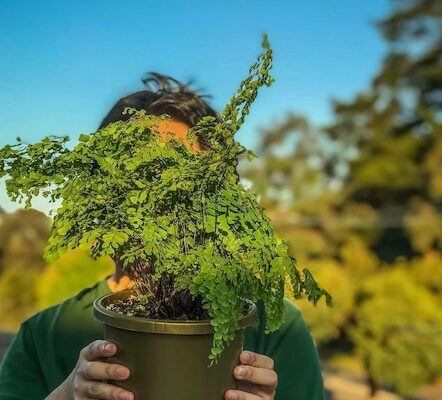 National Weed Your Garden Day Thu 13th, Jun 2024