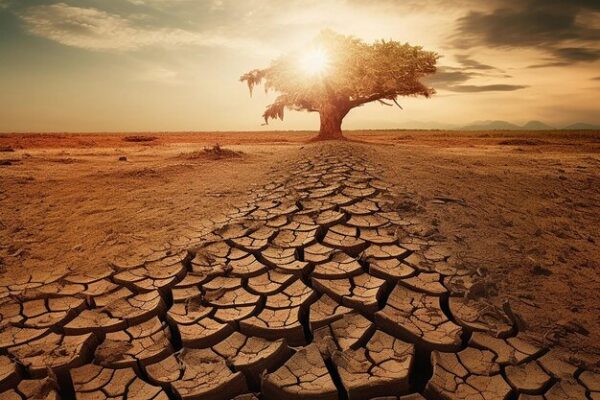 World Day to Combat Desertification and Drought Mon 17th, Jun 2024