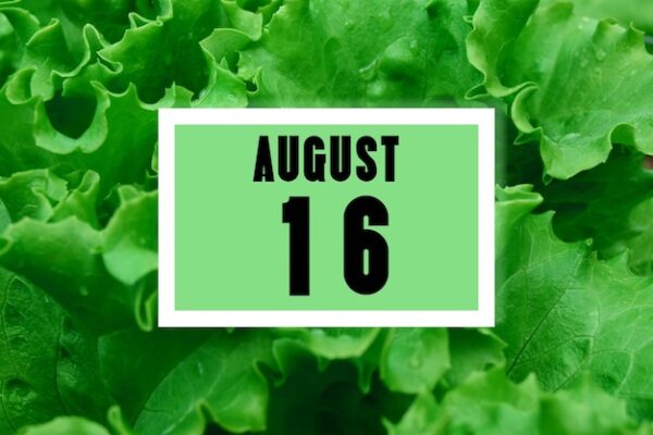 Fresh Spinach Day Tue 16th, Jul 2024