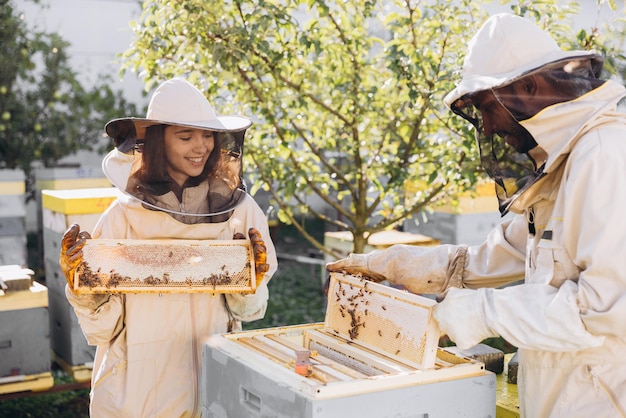 National Urban Beekeeping Day Fri 19th, Jul 2024